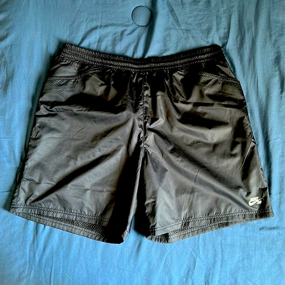 Nike SB shorts